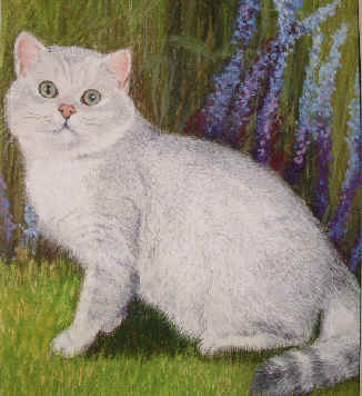 Zeus.JPG (131346 bytes)