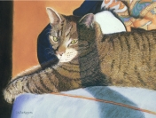 large and small picturesque pictures 204.jpg (27257 bytes)