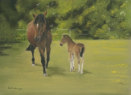 picturesque pictures 098.jpg (43859 bytes)