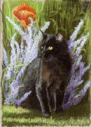 picturesque pictures 106.jpg (75792 bytes)