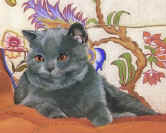 picturesque pictures 109.jpg (32359 bytes)