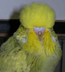 Picture 020.jpg (38342 bytes)