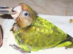 barnes02.jpg (6538 bytes)