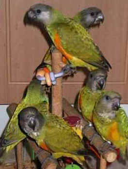 barnes05.jpg (13057 bytes)