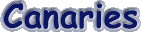canary.gif (1567 bytes)