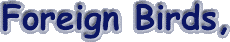 foreign.gif (2429 bytes)
