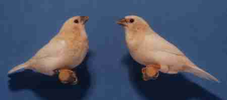 hill.jpg (3584 bytes)