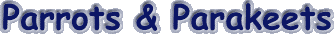 parrots.gif (3162 bytes)