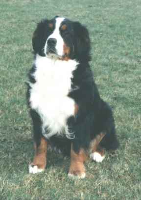 Jones.jpg (12140 bytes)