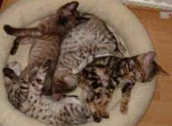 120103a 001.jpga.jpg (6851 bytes)