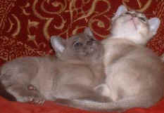 13-22 May 2004 006.jpg (12536 bytes)