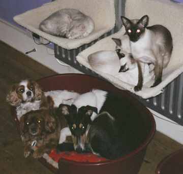 En Famille.jpg (11256 bytes)