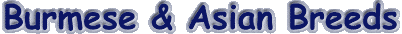 burmeseasian.gif (3651 bytes)