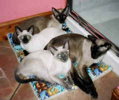 clockwise.jpg (12309 bytes)