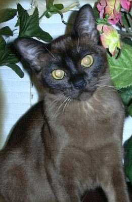 dorisandalan03.jpg (14984 bytes)