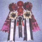 obrienrosettes.jpg (9031 bytes)