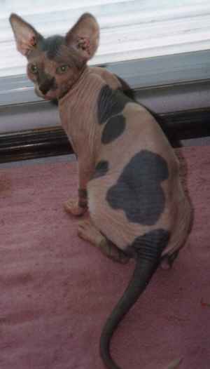 plumb3.jpg (9993 bytes)