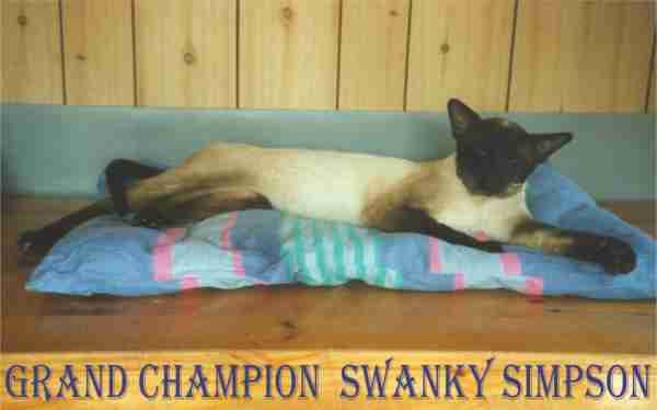 simpson1.jpg (11907 bytes)