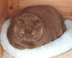 010.jpg (16749 bytes)