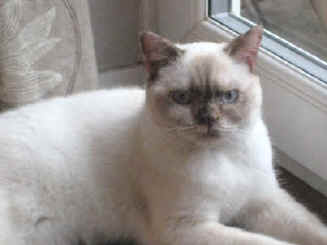 020.jpg (9976 bytes)