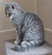 1637155937_n.jpg (114422 bytes)