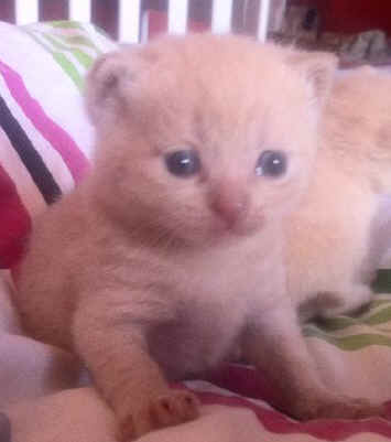 34902056_large.jpg (53783 bytes)