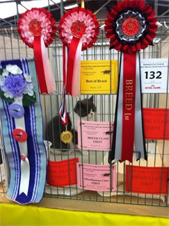 45812255.jpg (24907 bytes)