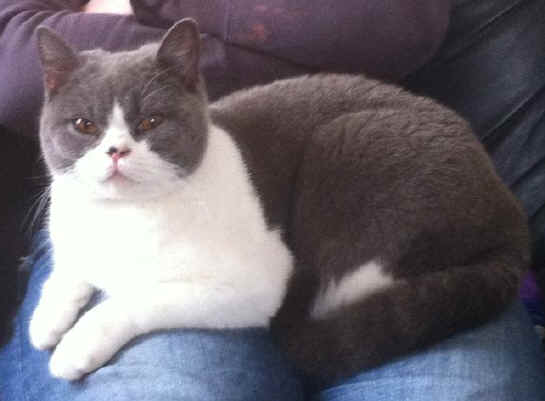 45840652_large.jpg (53099 bytes)