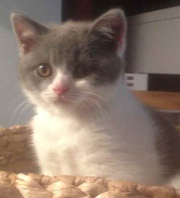 65283680_large.jpg (25086 bytes)