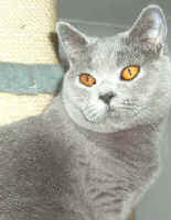 Becky.jpg (37738 bytes)