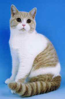 CCE00000.jpg (7240 bytes)