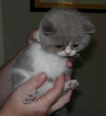 DSCN3847.JPG (1896125 bytes)