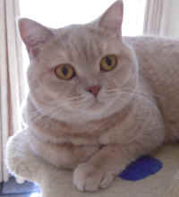 DSCN3927.JPG (1151852 bytes)