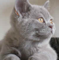 DSCN3943.JPG (1167028 bytes)