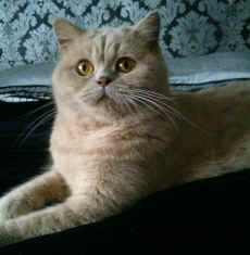 DSC_1477.jpg (1199407 bytes)