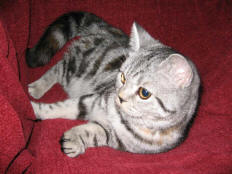 IMG_1023.jpg (30072 bytes)