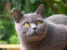 PICT0364-F.jpg (17644 bytes)