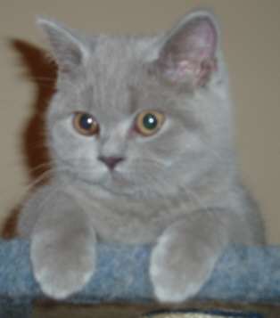 Tink and Polly 007.jpg (7743 bytes)