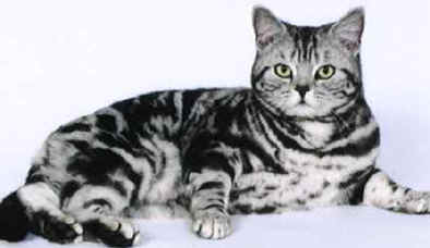 Udmilla MHenri April 05.jpg (12330 bytes)