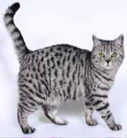 Ullani (Ulla) 21.5.05.jpg (5322 bytes)