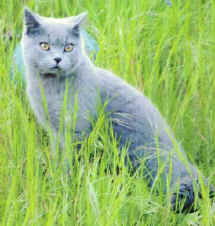 after8.jpg (29734 bytes)