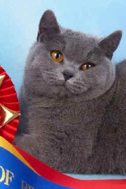 wpe35.jpg (15622 bytes)