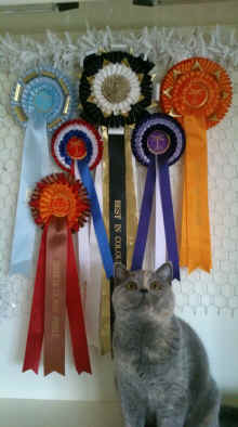 dsc_1299.jpg (1236611 bytes)