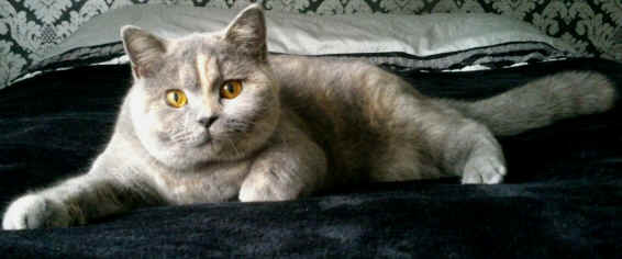 dsc_1465.jpg (1437870 bytes)