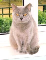 gardnerfeb0703.jpg (7124 bytes)