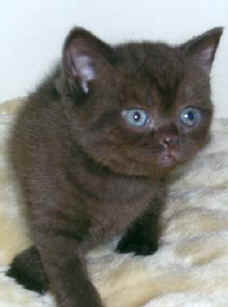 gardnerfeb0704.jpg (10948 bytes)