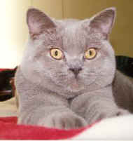 gardnerfeb0708.jpg (8975 bytes)