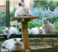 gardnerfeb0715.jpg (18430 bytes)