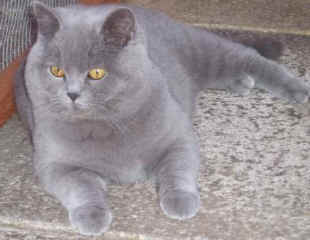 molly05-3.jpg (19839 bytes)