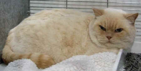 morsecoventry12.jpg (19539 bytes)